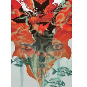 DC Comics Batwoman - Skeleton Cover Poster Unframe Gift For Friends 166